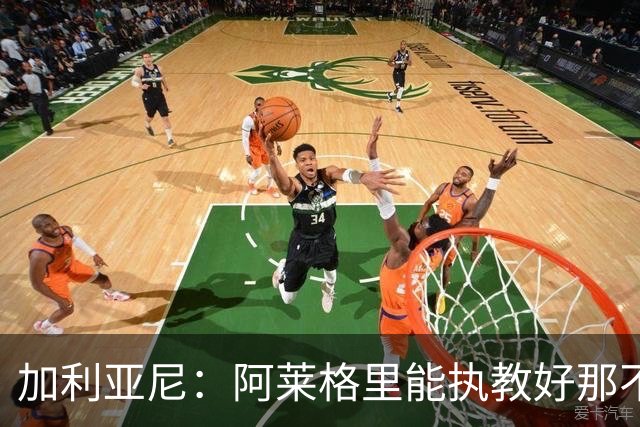 加利亚尼：阿莱格里能执教好那不勒斯，他会根据队内球员制定战术